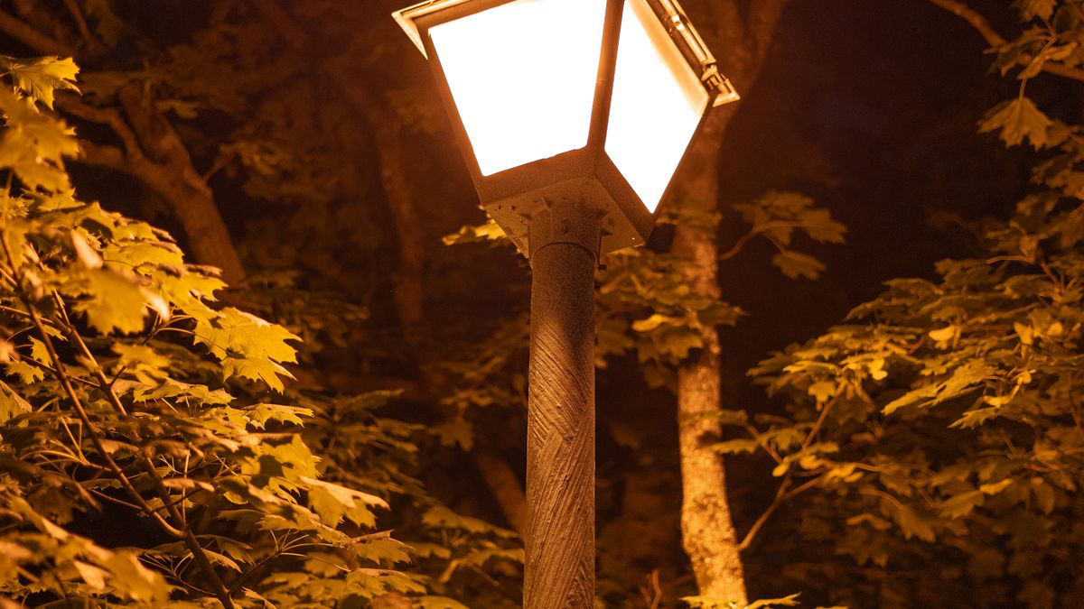 Lampadaire extérieur éclairant un parc arboré le soir